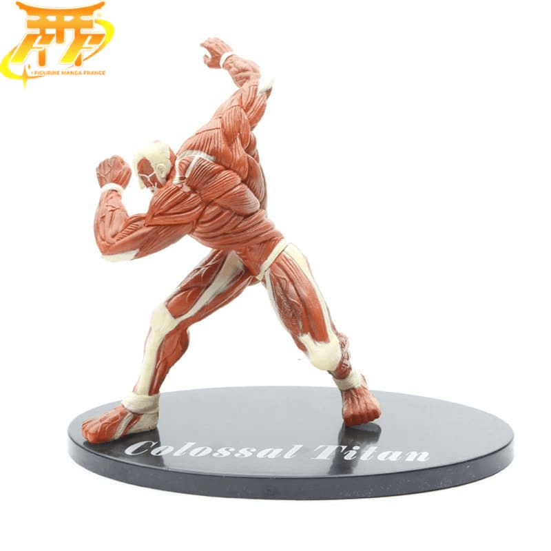 Colossal Titan Figure - Attack on Titans™