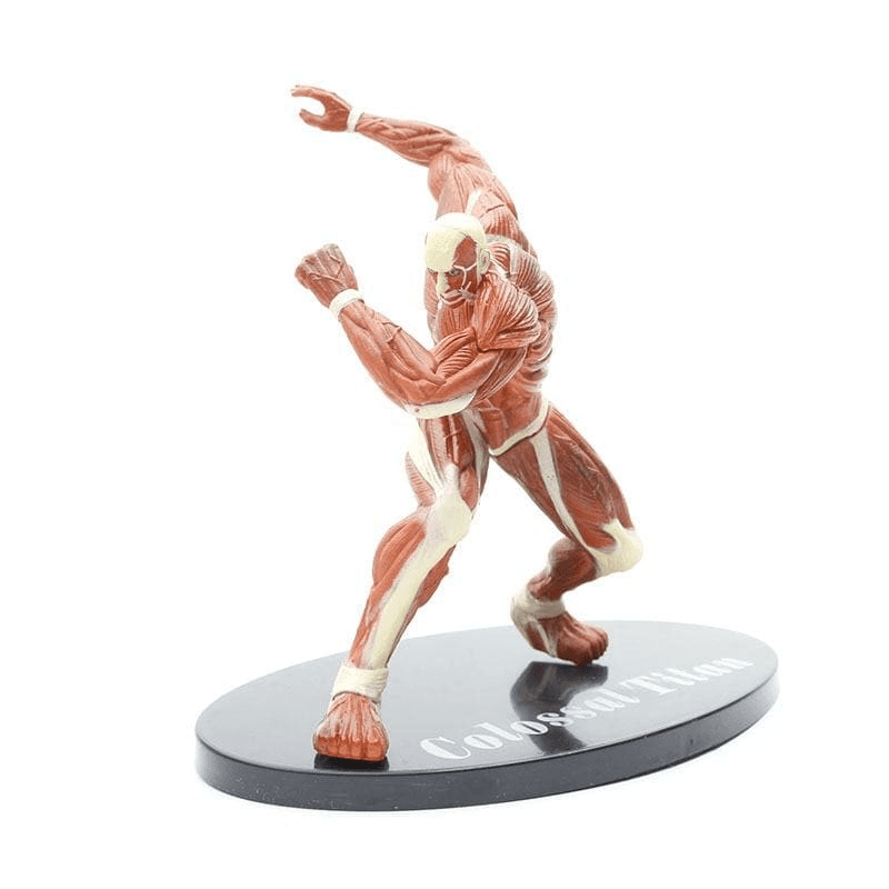 Colossal Titan Figure - Attack on Titans™