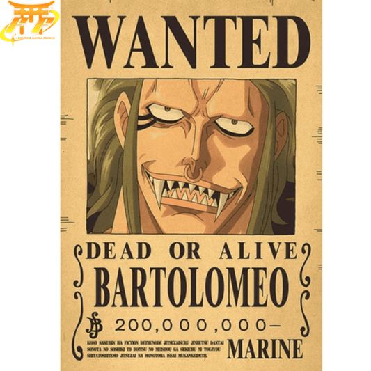 poster-wanted-bartolomeo-one-piece™
